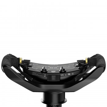 Porsche Mission R Steering Wheel